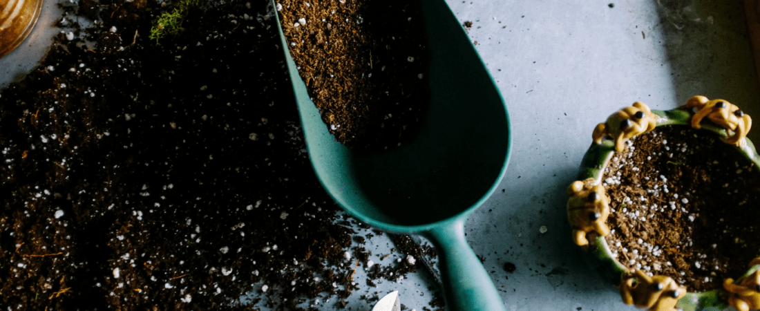 Unlocking Your Happiness Through Nature: Welcome!