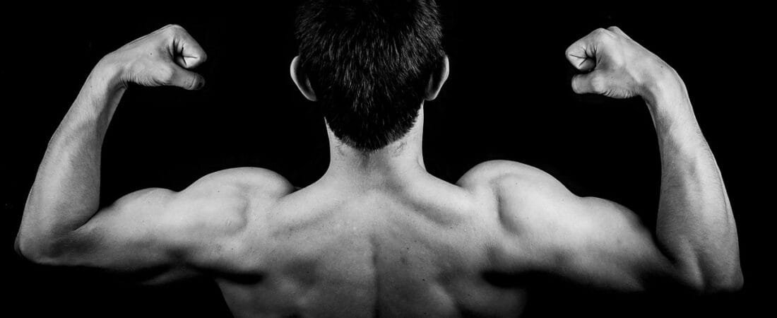 Build Your Back and Biceps: A 3-Level Workout Guide for All Fitness Setups