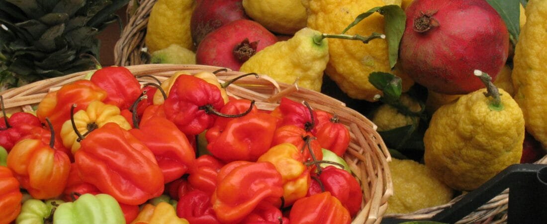 Garden-to-Table Vibes: Fresh September Recipes Straight from Your Backyard