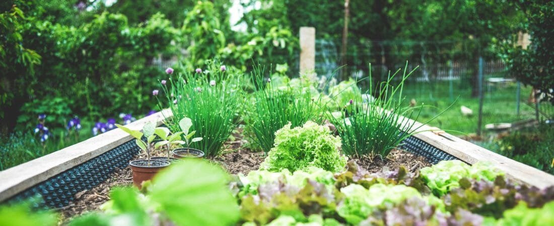 Gardening With History: How Ancient Practices Inspire Today’s Growers