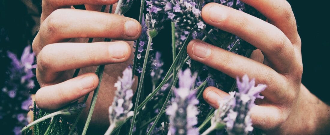 Beginner-Friendly Recipe: Lavender & Vanilla Soy Candle