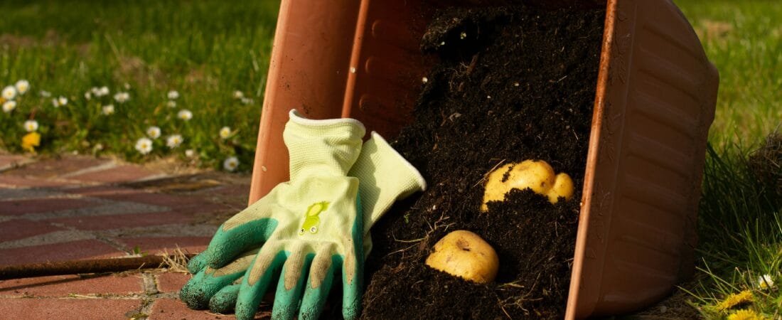 Zero-Waste Gardening Hacks: Composting, Reusing, and Recycling for Cleaner, Greener Yards