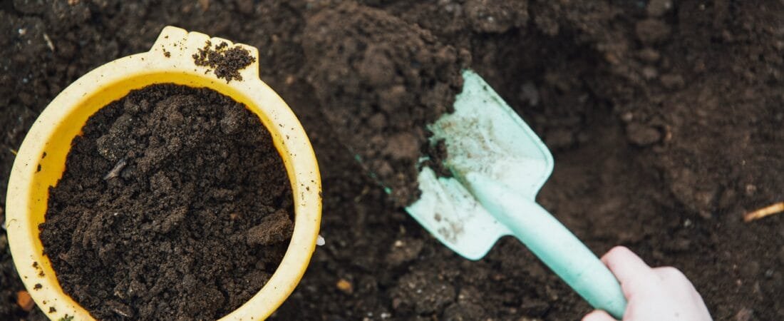 Compost Critters: The Superstars of Any Compost Operation