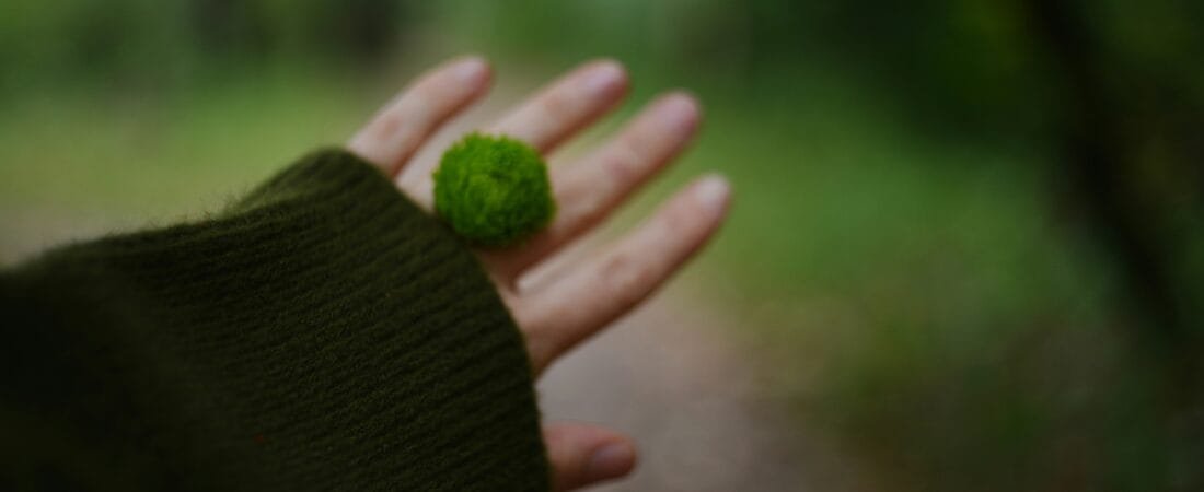 Marimo Moss Balls: A Tiny Symbol of Love, Patience, and Staying Connected
