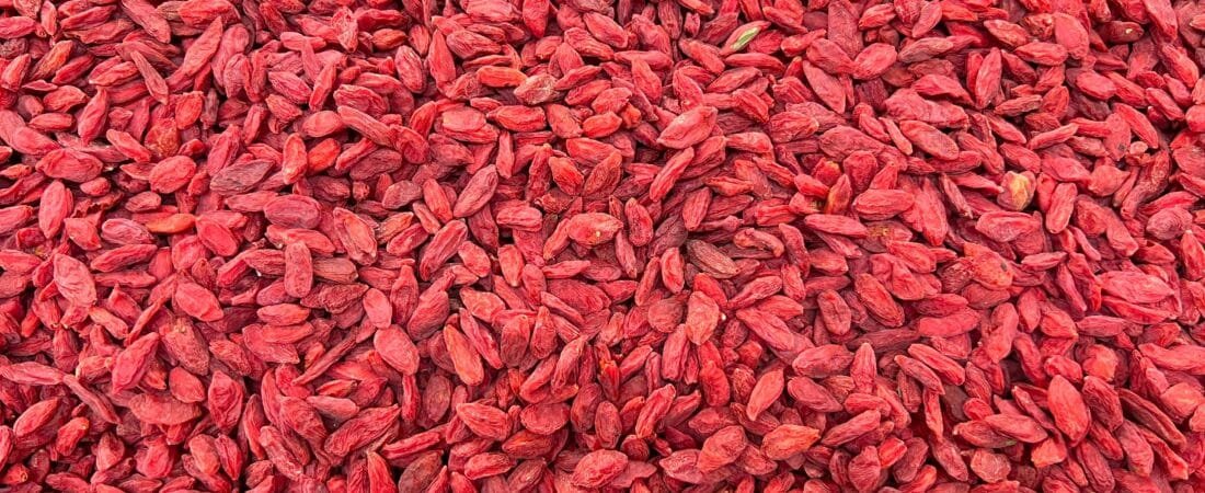 Goji Berries: A Small Berry With Big Benefits